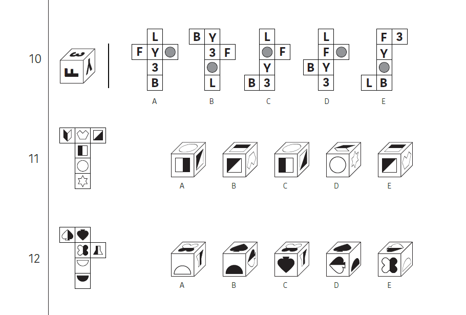 11+ NVR Nets and Cubes Paper 3 - 11+ Centre